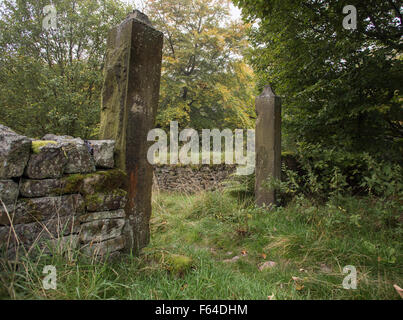 Die Ruinen und die Umgebung von JEEMS Hall, Tockholes, Lancashire. Stockfoto