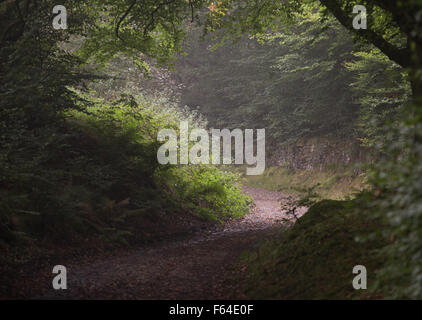 Die Ruinen und die Umgebung von JEEMS Hall, Tockholes, Lancashire. Stockfoto