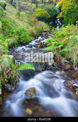 Wasserfall mündet in Burrator-Reservoir auf Dartmoor National Park England UK Europe Stockfoto