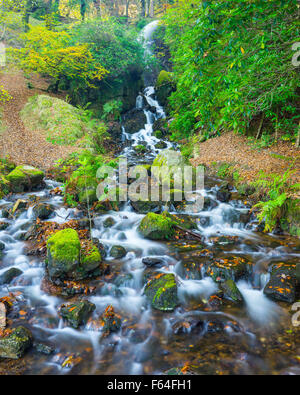 Wasserfall mündet in Burrator-Reservoir auf Dartmoor National Park England UK Europe Stockfoto