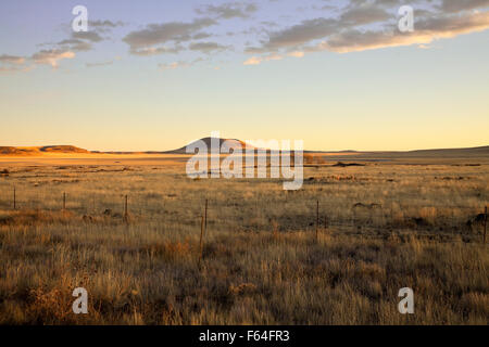 Am späten Nachmittag Sonne beleuchtet die Landschaft am Highway 87 zwischen Raton und Clayton im nordöstlichen New Mexico. Stockfoto