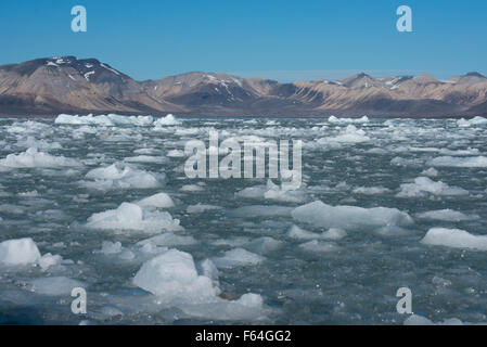 Barentssee, Svalbard, Spitzbergen, Norwegen, 14. Juli-Gletscher (79° 07' 33' N - 11° 48' 05' E) Eis gefüllt Bucht. Stockfoto