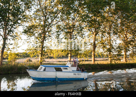 Platanen entlang des Canal De La Robine leuchtet im Abendrot Sonne Süden, Frankreich, Küste, Urlaub, Sommer. Zweig der Canal du Midi. Stockfoto