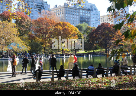 Wintergarten-Wasser im Central Park in New York City Stockfoto