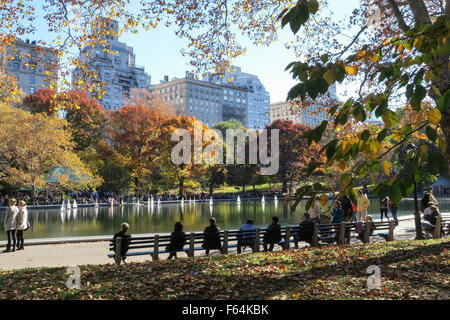 Wintergarten-Wasser im Central Park in New York City Stockfoto