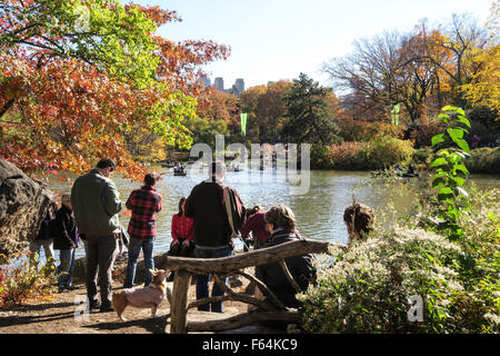 Ruderboote am See mit Skyline im Central Park, New York Stockfoto