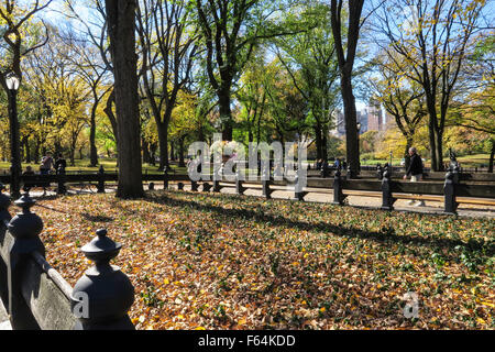 Central Park im Herbst, NYC, USA Stockfoto