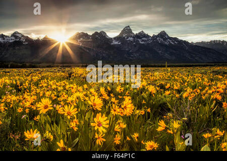 Letzte Strahlen der untergehenden Sonne schießen dramatisch hinter den Bergen von Wyoming des Grand Teton National Park. Stockfoto