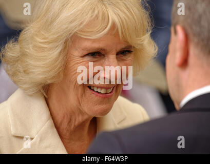 Sydney, Australien. 12. November 2015. Camilla, Herzogin von Cornwall plaudert mit ein Regierung-Haus-Empfang in Sydney im Rahmen ihrer Royal-Tour von Australien. Bildnachweis: MediaServicesAP/Alamy Live-Nachrichten Stockfoto