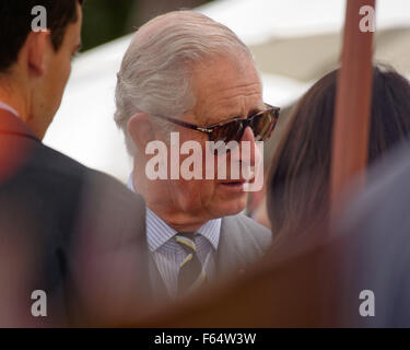 Sydney, Australien. 12. November 2015. Prinz Charles, Prinz von Wales-Chats mit ein Regierung-Haus-Empfang in Sydney im Rahmen ihrer Royal-Tour von Australien. Bildnachweis: MediaServicesAP/Alamy Live-Nachrichten Stockfoto