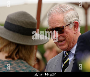 Sydney, Australien. 12. November 2015. Prinz Charles, Prinz von Wales-Chats mit ein Regierung-Haus-Empfang in Sydney im Rahmen ihrer Royal-Tour von Australien. Bildnachweis: MediaServicesAP/Alamy Live-Nachrichten Stockfoto