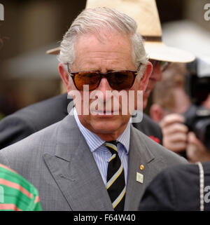 Sydney, Australien. 12. November 2015. Prinz Charles, Prinz von Wales-Chats mit ein Regierung-Haus-Empfang in Sydney im Rahmen ihrer Royal-Tour von Australien. Bildnachweis: MediaServicesAP/Alamy Live-Nachrichten Stockfoto