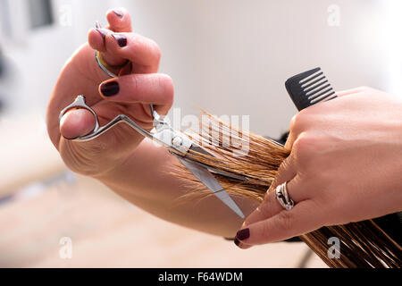 Schneiden die Enden auf dem Haar Friseur Stockfoto