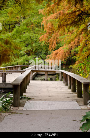 Holzbrücke über den Teich im Van Dusen Botanical Garden in Vancouver im Herbst. Stockfoto
