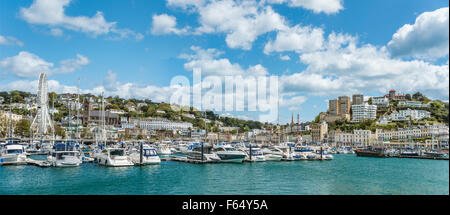 Blick über den Hafen und den Yachthafen von Torquay, Torbay, England, Großbritannien Stockfoto