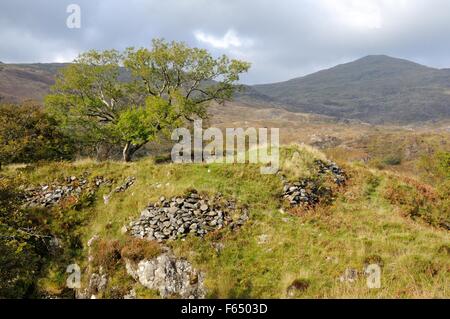 DINAS Emrys prähistorischen Wallburg in Richtung Yr Aran im Herbst Beddgelert Snowdonia National Park Wales Cymru UK GB Stockfoto