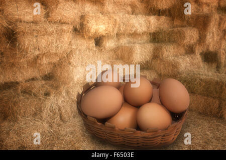 braune Frischeier in einer Stroh-Scheune Stockfoto