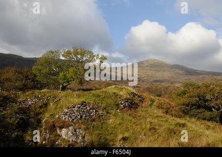 DINAS Emrys prähistorischen Wallburg in Richtung Yr Aran im Herbst Beddgelert Snowdonia National Park Wales Cymru UK GB Stockfoto