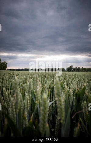 dramatische Landschaft Stockfoto