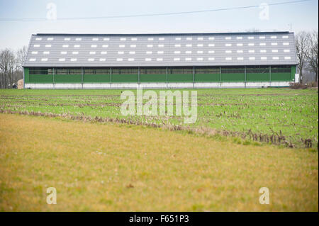 Scheune in ländlichen Belgien Stockfoto