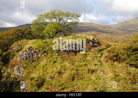 DINAS Emrys prähistorischen Hügel Fort Beddgelert Snowdonia Natioal Park Gwynedd Wales Cymru UK GB Stockfoto