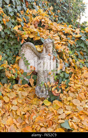 Statue eines Engels in grünen Efeu bedeckt und gelbes Blatt in der Nähe von der Friedhof Kirche Allerheiligen (der UNESCO) Stockfoto