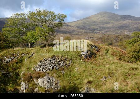 DINAS Emrys prähistorischen Wallburg in Richtung Yr Aran im Herbst Beddgelert Snowdonia National Park Wales Cymru UK GB Stockfoto