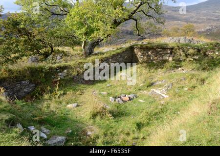 Was gilt Turm aus dem 12 Jahrhundert an Dinas Emrys antike Ruinen Hügel Fort Nantgwynant Tal Snowdonia Wales Cymru Stockfoto