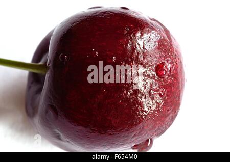 Schöne lebendige wilde Kirsche Makrofoto Stockfoto