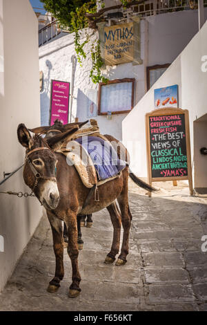 Lindos, Rhodos Stockfoto