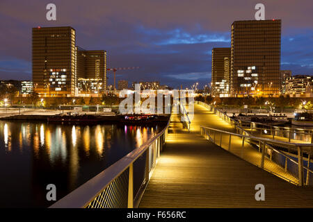 Simon de Beauvoir Fußgängerbrücke und Bibliotheque François Mitterrand, Paris, Ile de France, Frankreich Stockfoto