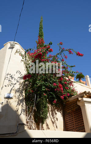 Altstadt Dalt Vila Ibiza Spanien Stockfoto