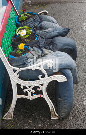 Upcycling - alte Jeans auf der Bank sitzend, pflegte Blumen in llandovery, Carmarthenshire, Mid Wales UK im November zu wachsen Stockfoto