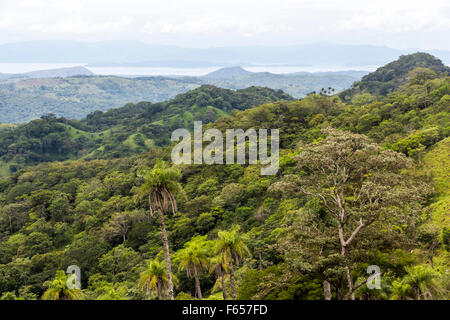 Monteverde Landschaft, Costa Rica Stockfoto