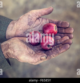 der alte Mann Hand Apfel Stockfoto