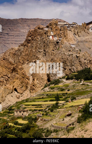 Indien, Himachal Pradesh, Spiti Tal, terrassierten Dhankar Kloster am Grat oben steil landwirtschaftlich genutzten Feldern Stockfoto