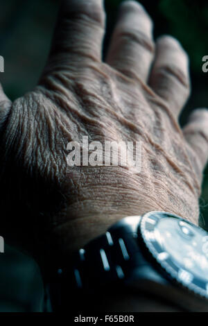Old mans Hand und Uhr Stockfoto