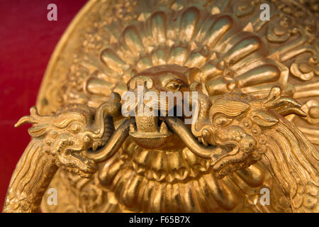 Indien, Himachal Pradesh, Spiti, Kaza 2009 Sakya Tangyud (Tenggyu) Kloster, Tür, große vergoldete Griff detail Stockfoto