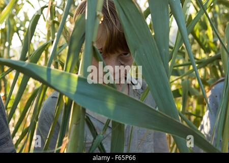 Finstere 2 Jahr: 2015 USA Regie: Ciaran Foy Jaden Klein Stockfoto