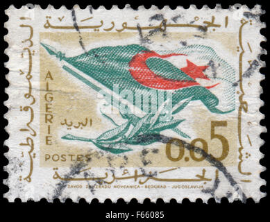 Algerien CIRCA 1963: Briefmarke gedruckt von Algerien, zeigt Flagge, Gewehr, Olivenzweig, ca. 1963 Stockfoto