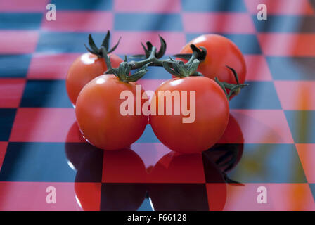 Vined Tomaten auf roten und schwarzen Schachbrettblöcke Hintergrund geschossen für Design Inspiration Stockfoto