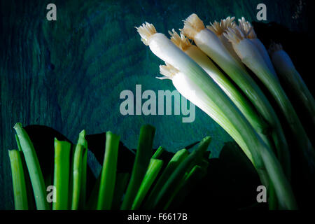 Gesamte Tabelle Zwiebel mit Wurzeln und Tipps, grünlich-blau Holz, Raum für Kopieren. Stockfoto