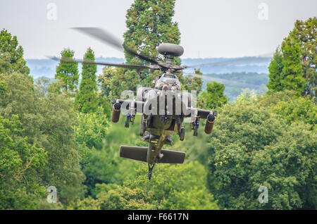 AgustaWestland Apache ist eine Lizenz gebaute Version des AH-64D Apache longbow Kampfhubschrauber für die Britische Armee. In den Bäumen. Tank Killer Stockfoto