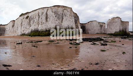 Panoramablick auf den Kreidefelsen und Meer Stapeln im Botany Bay, Broadstairs, Kent Stockfoto