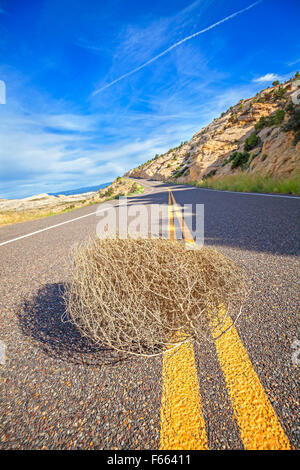 Tumbleweed auf einer leeren Straße, Reise-Konzept-Bild, geringe Schärfentiefe, USA. Stockfoto