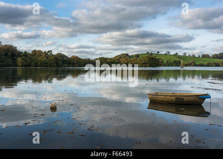 Boot auf einem ruhigen Fluss Dart bei Flut in Dittisham, South Hams, Devon, England Stockfoto