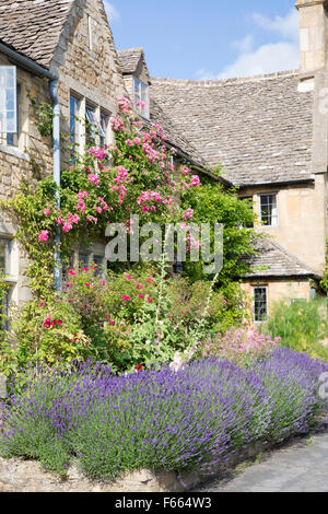 Lavendel wächst vor Cotswold Cottages, Broadway, Worcestershire, England, UK Stockfoto