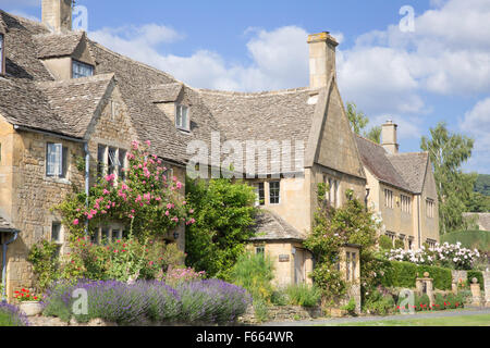 Lavendel wächst vor Cotswold Cottages, Broadway, Worcestershire, England, UK Stockfoto