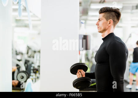 Hübscher Jüngling, trainieren Sie im Fitnessraum und Gewichte heben Stockfoto