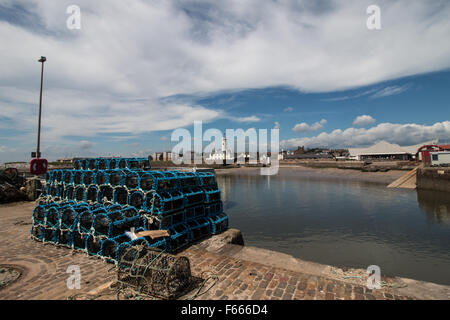 Hummer-Töpfe Stockfoto